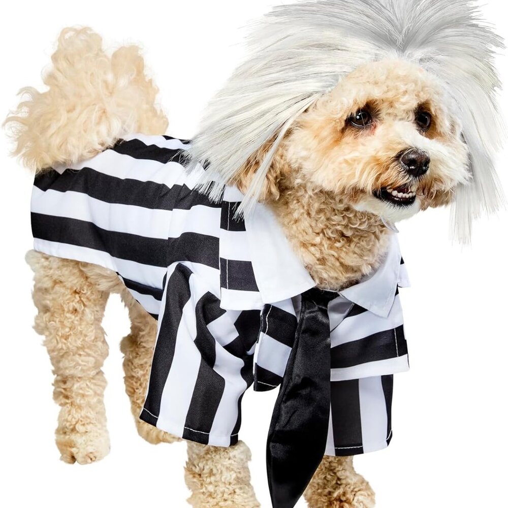 💖 Beetlejuice Pet Costume Size Small